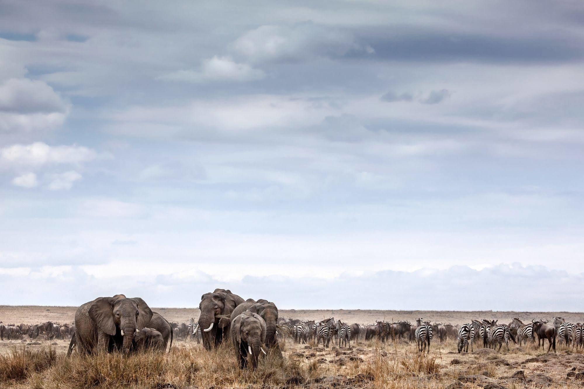 Вилла Basecamp Masai Mara Talek Экстерьер фото