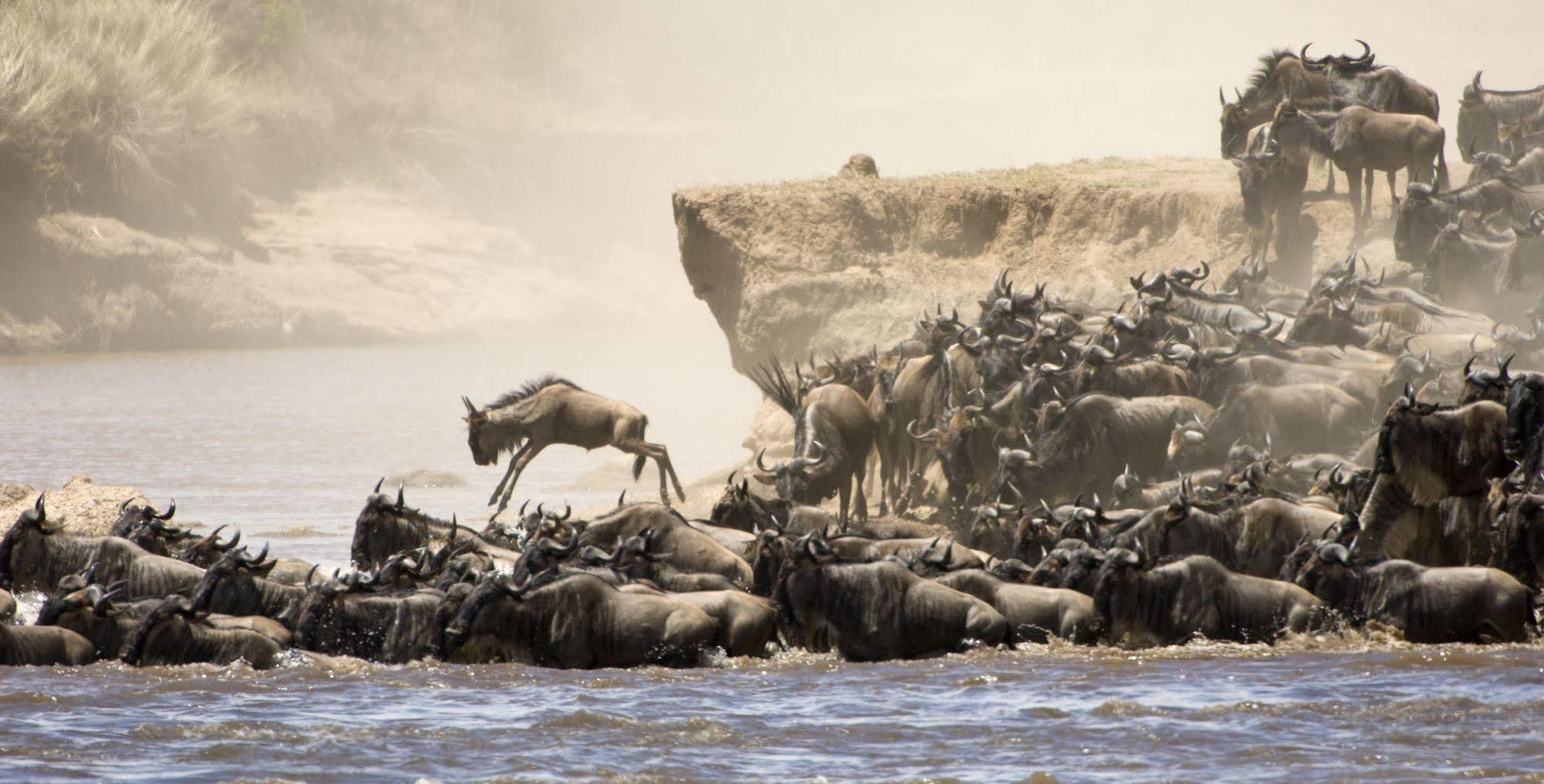 Вилла Basecamp Masai Mara Talek Экстерьер фото