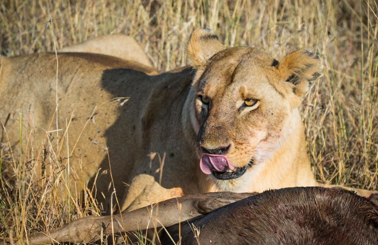 Вилла Basecamp Masai Mara Talek Экстерьер фото