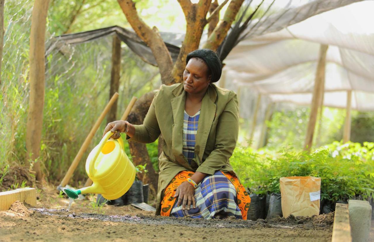 Вилла Basecamp Masai Mara Talek Экстерьер фото